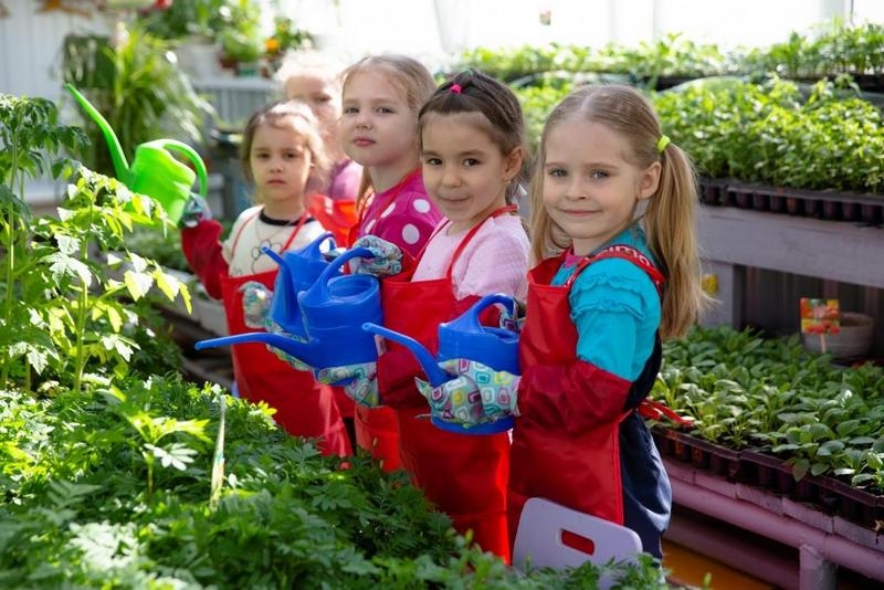 Усинские дошколята выращивают цветы для городских клумб